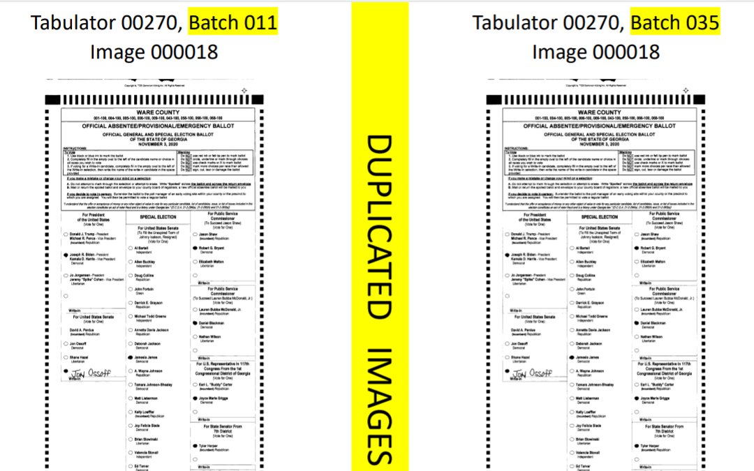 Fulgham v Ware County — Dominion scan time evidence image 2